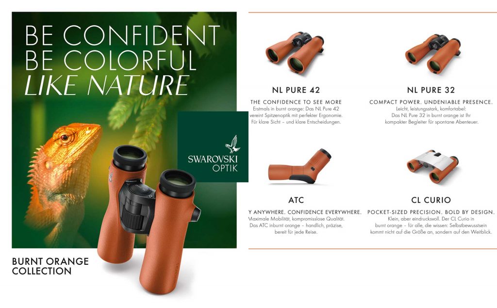 Burnt Orange Collection– MORE THAN A COLOR. A STATEMENT.