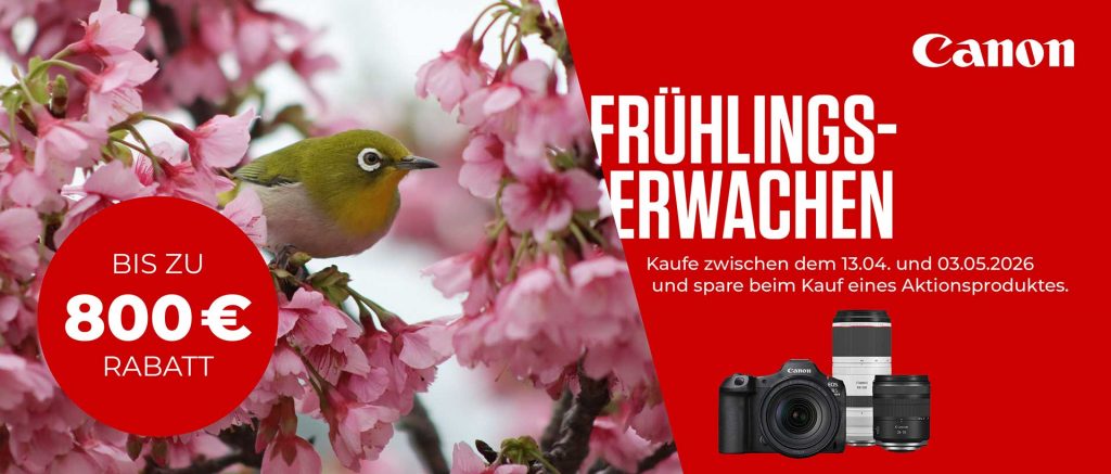Canon Frühlingserwachen – bis zu € 800,– Sofortrabatt!