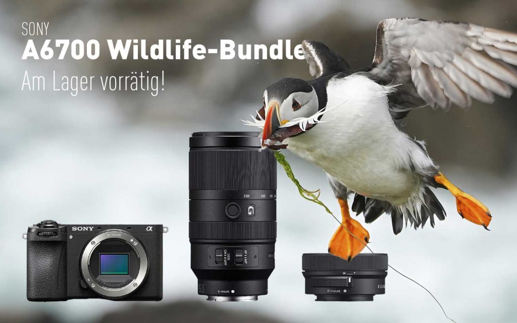 Sony A6700 Wildlife-Bundle am Lager vorrätig!