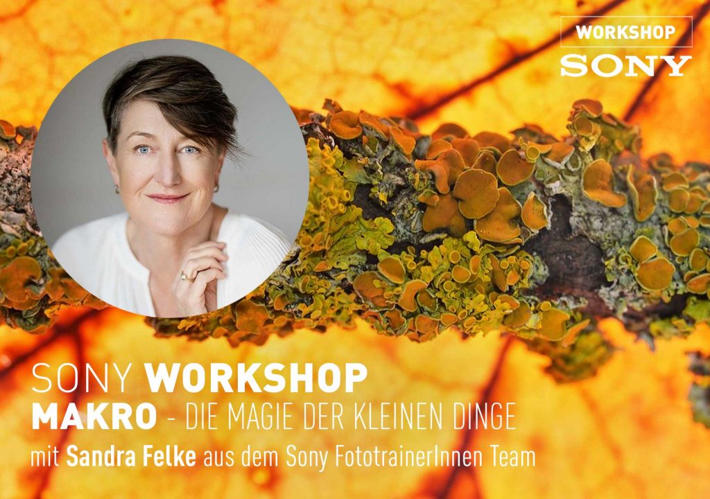 FR 20.3.26: Sony Makro – Die Magie der kleinen Dinge